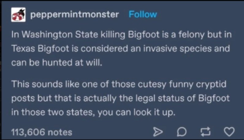 bigfoot.jpg